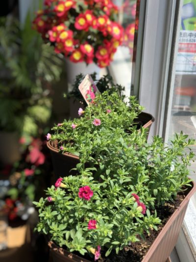 自分史作りのメリットは